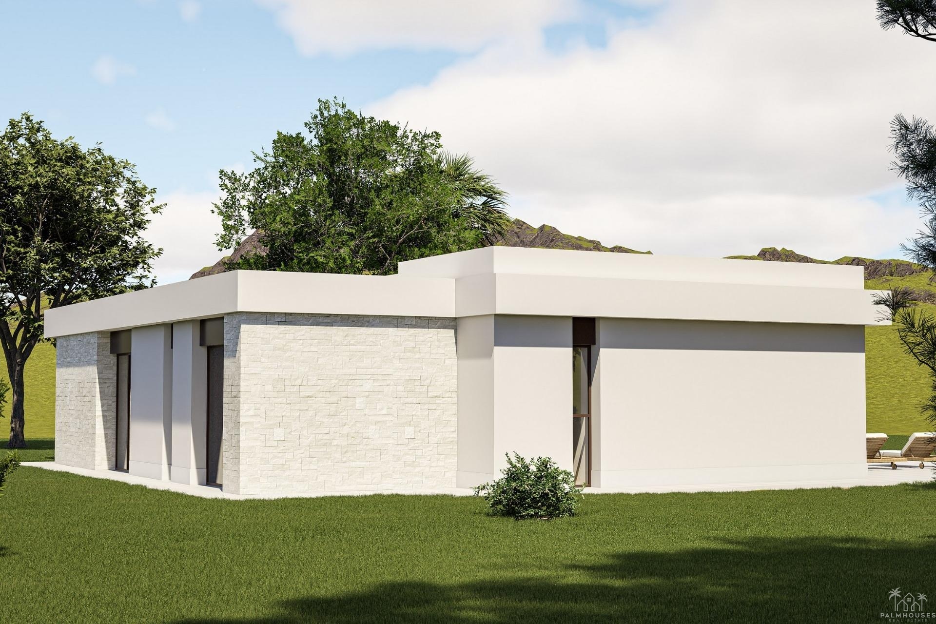 Nouvelle construction - Villa - Pinoso - Lel