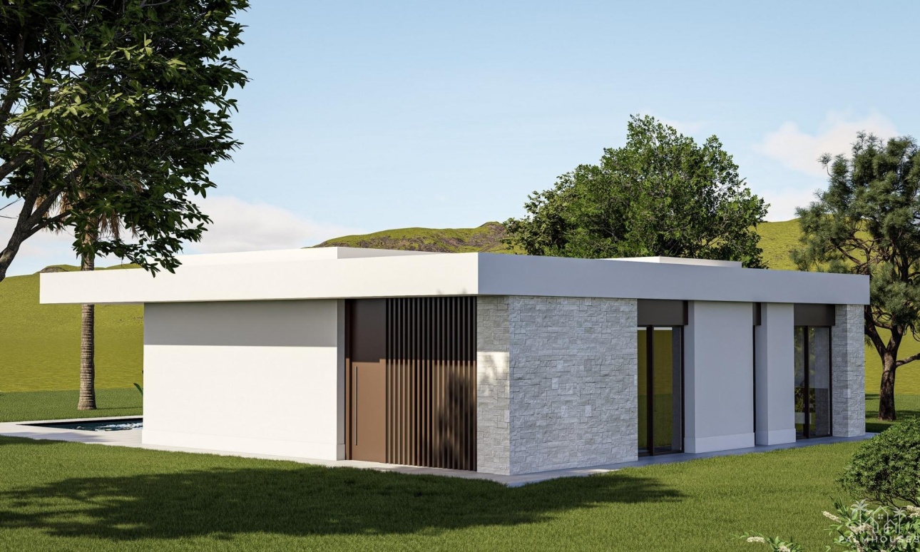 Nouvelle construction - Villa - Pinoso - Lel