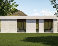 Nouvelle construction - Villa - Pinoso - Lel