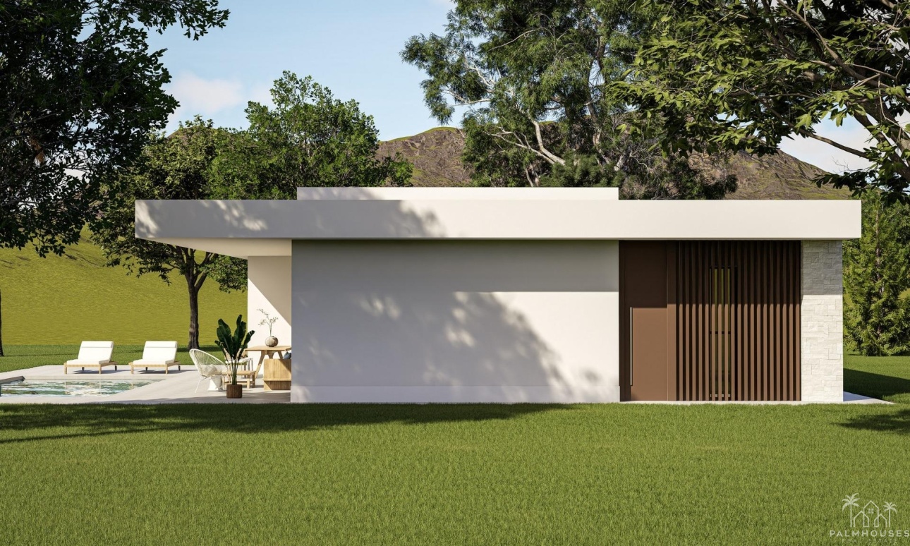 Nouvelle construction - Villa - Pinoso - Lel