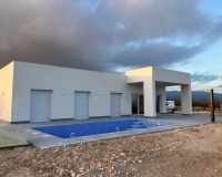 Nouvelle construction - Villa - Pinoso