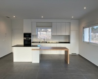 Nouvelle construction - Villa - Pinoso