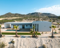 Nouvelle construction - Villa - Pinoso