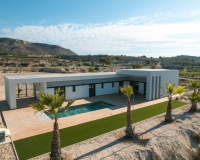 Nouvelle construction - Villa - Pinoso