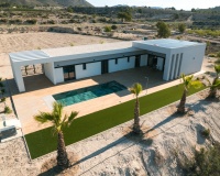 Nouvelle construction - Villa - Pinoso