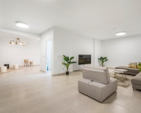 Nouvelle construction - Villa - Playa Paraiso