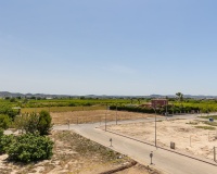 Nouvelle construction - Villa - Rafal