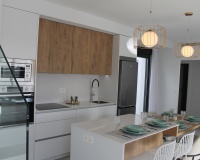 Nouvelle construction - Villa - Roldán