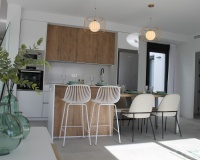 Nouvelle construction - Villa - Roldán