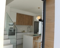 Nouvelle construction - Villa - Roldán