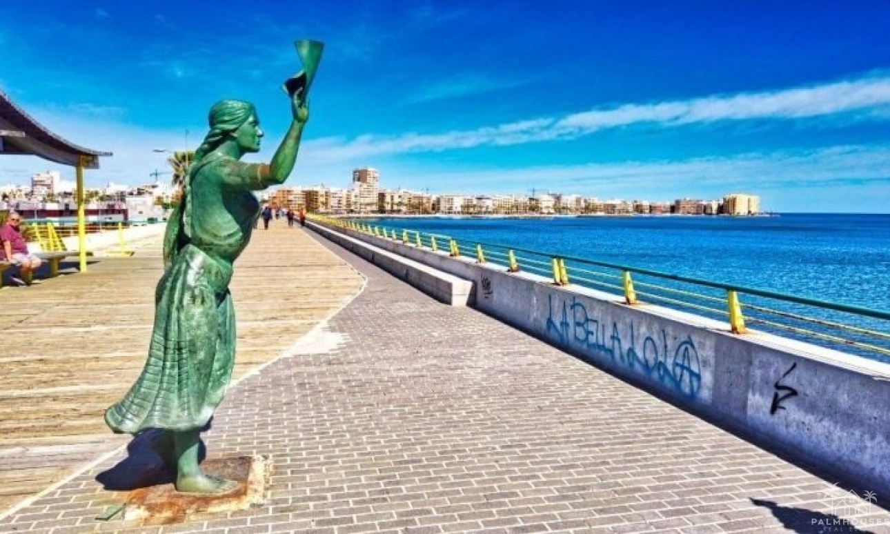 Nouvelle construction - Villa - Torrevieja - Aguas Nuevas