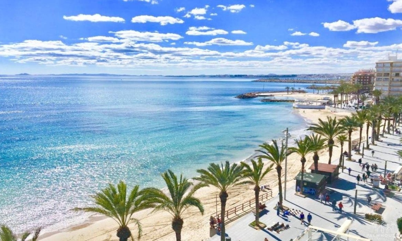 Nouvelle construction - Villa - Torrevieja - Lago Jardín II