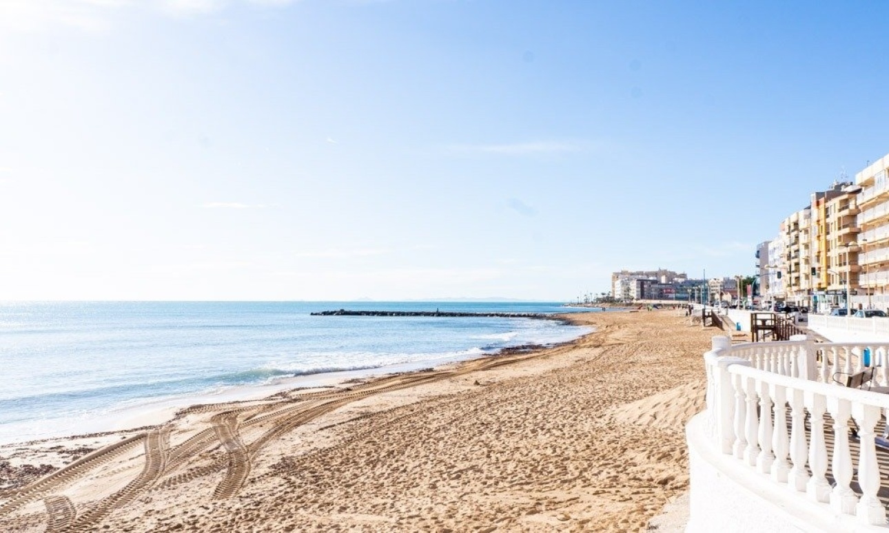 Nouvelle construction - Villa - Torrevieja - Lago Jardín II
