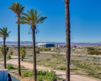 Nouvelle construction - Villa - Torrevieja - Parque Acuático - Sector 25