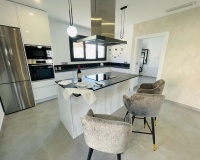 Nouvelle construction - Villa - Torrevieja
