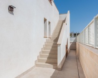 Nouvelle construction - Villa - Vera - Vera Playa