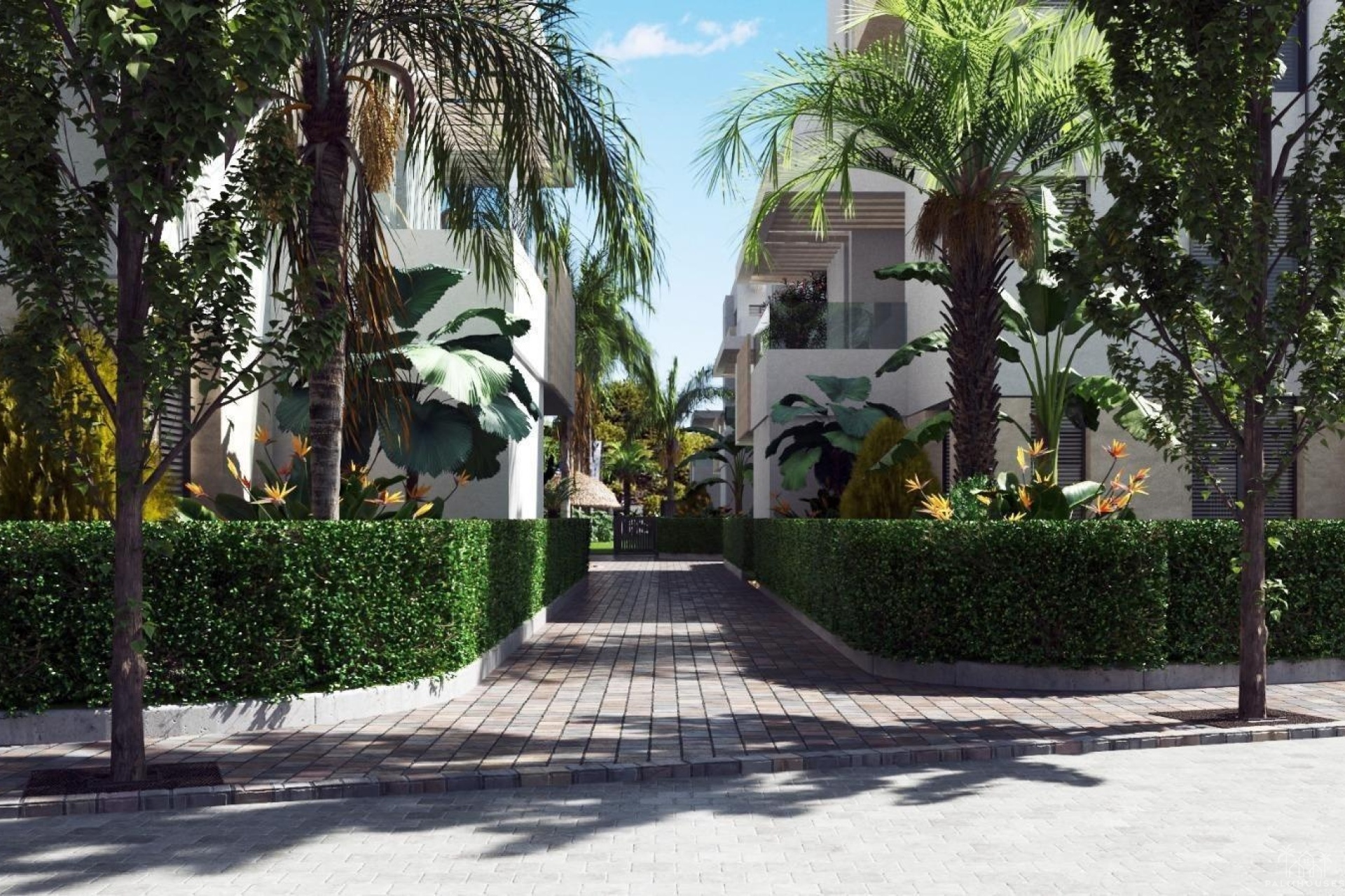 Nueva construcción  - Apartment - Torre Pacheco - Santa Rosalía