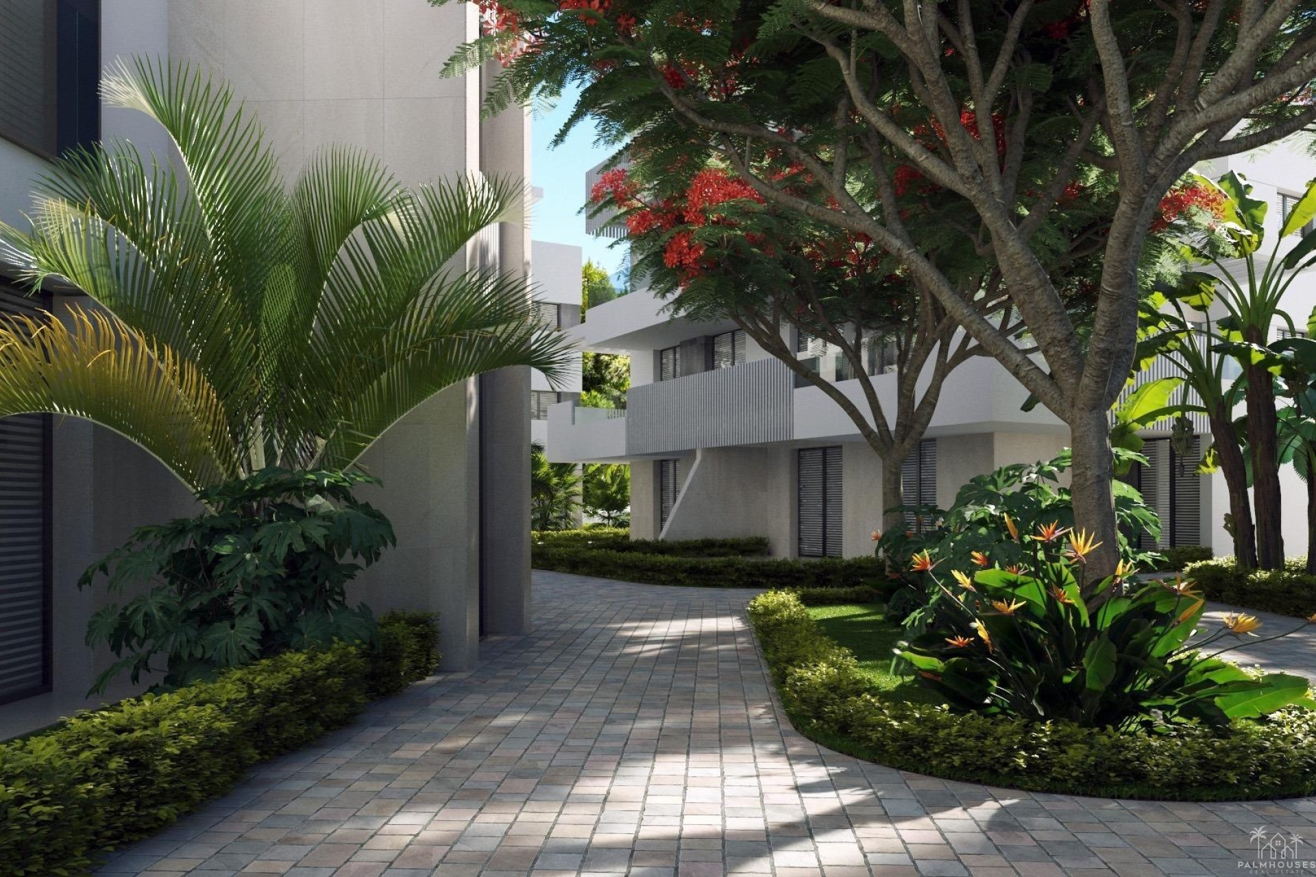 Nueva construcción  - Apartment - Torre Pacheco - Santa Rosalía