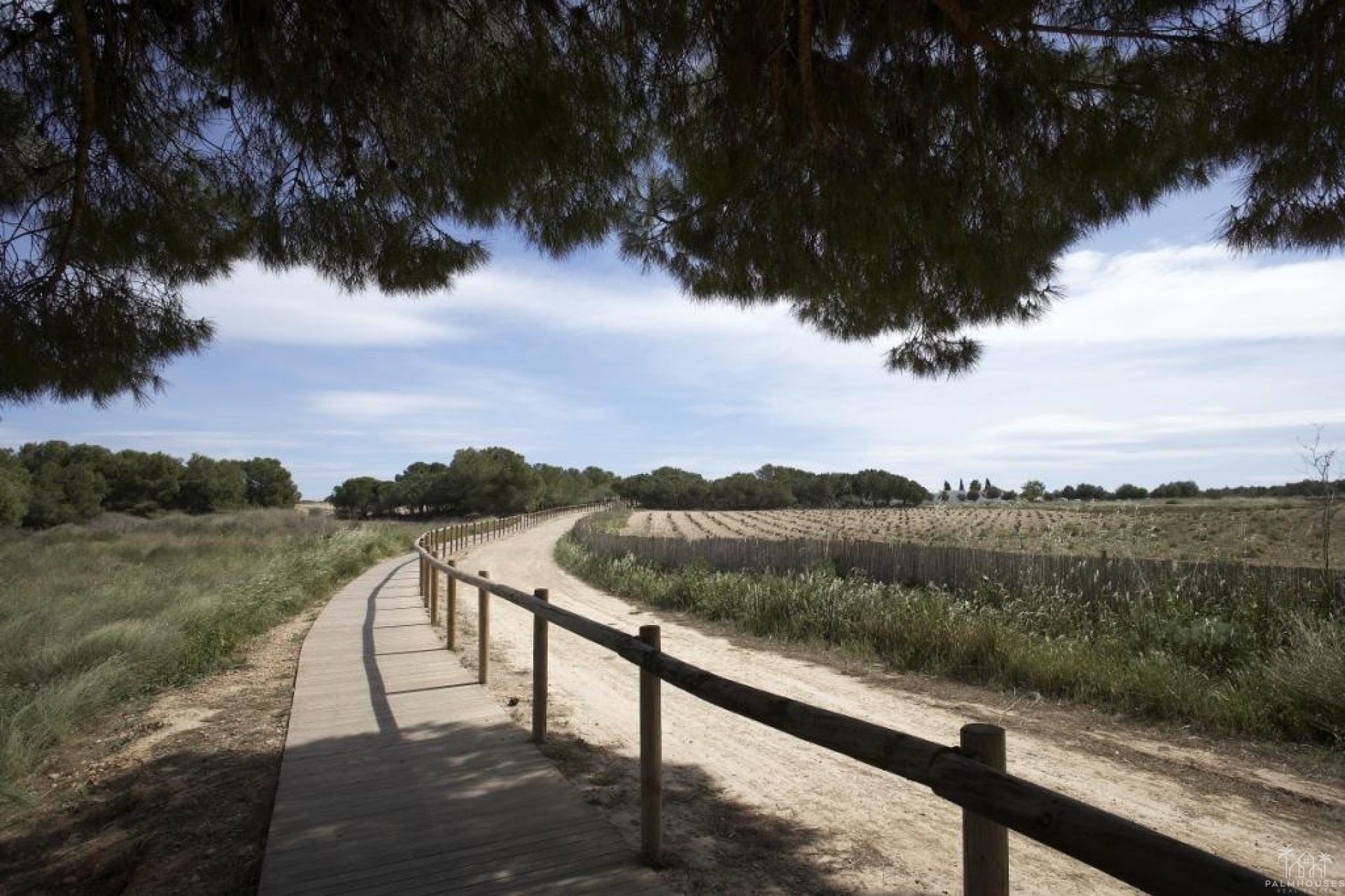 Nueva construcción  - Apartment - Torrevieja - Altos del Sol