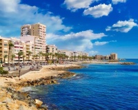 Nueva construcción  - Apartment - Torrevieja - Lago Jardín II