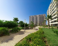 Nueva construcción  - Apartment - Torrevieja - Punta Prima