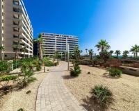 Nueva construcción  - Apartment - Torrevieja - Punta Prima