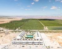 Nueva construcción  - Apartment - Torrevieja