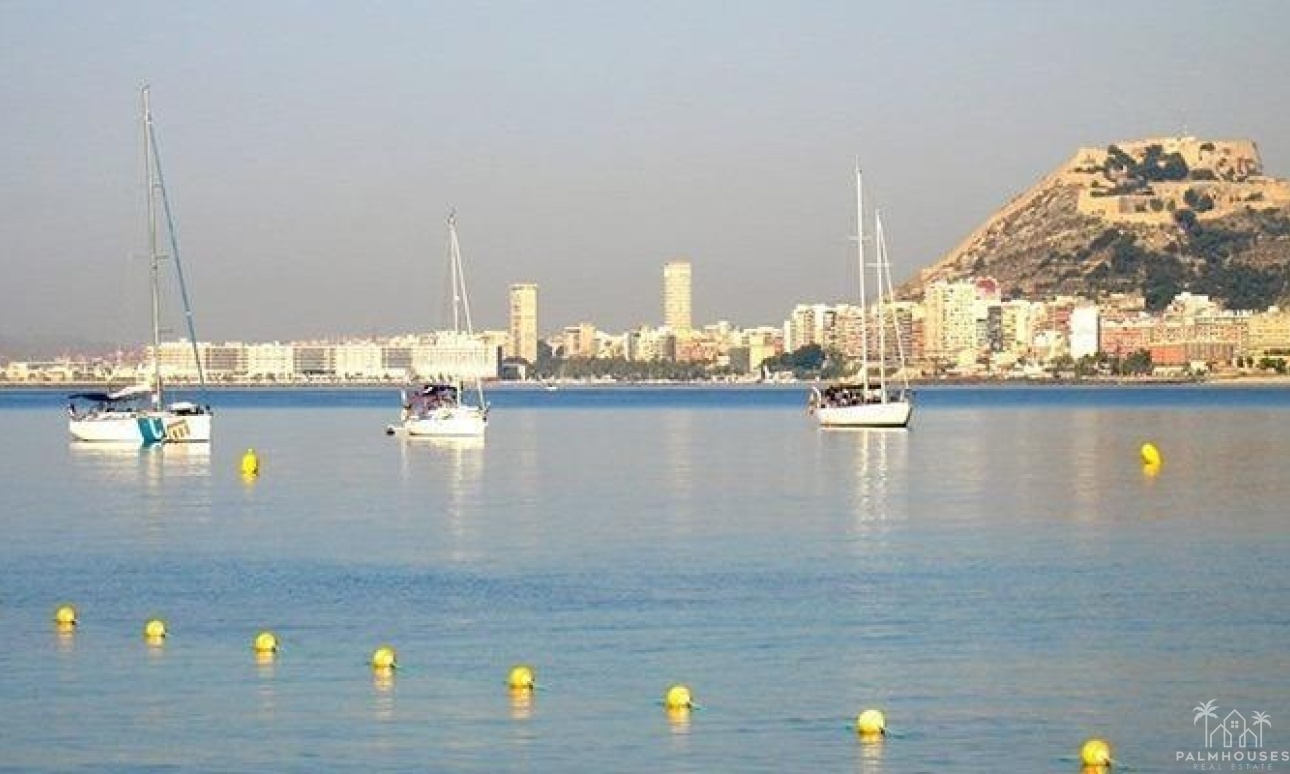 Nueva construcción  - Casa - Alicante - El Verger