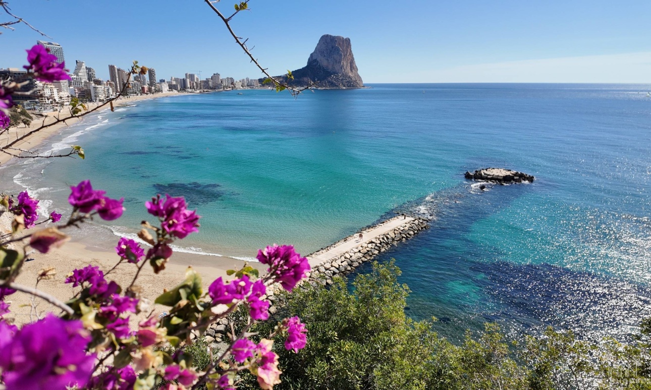 Nueva construcción  - Villa - Calpe - Cometa