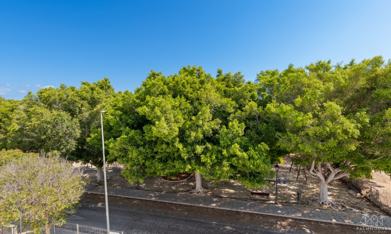 Nueva construcción  - Villa - Mil Palmeras