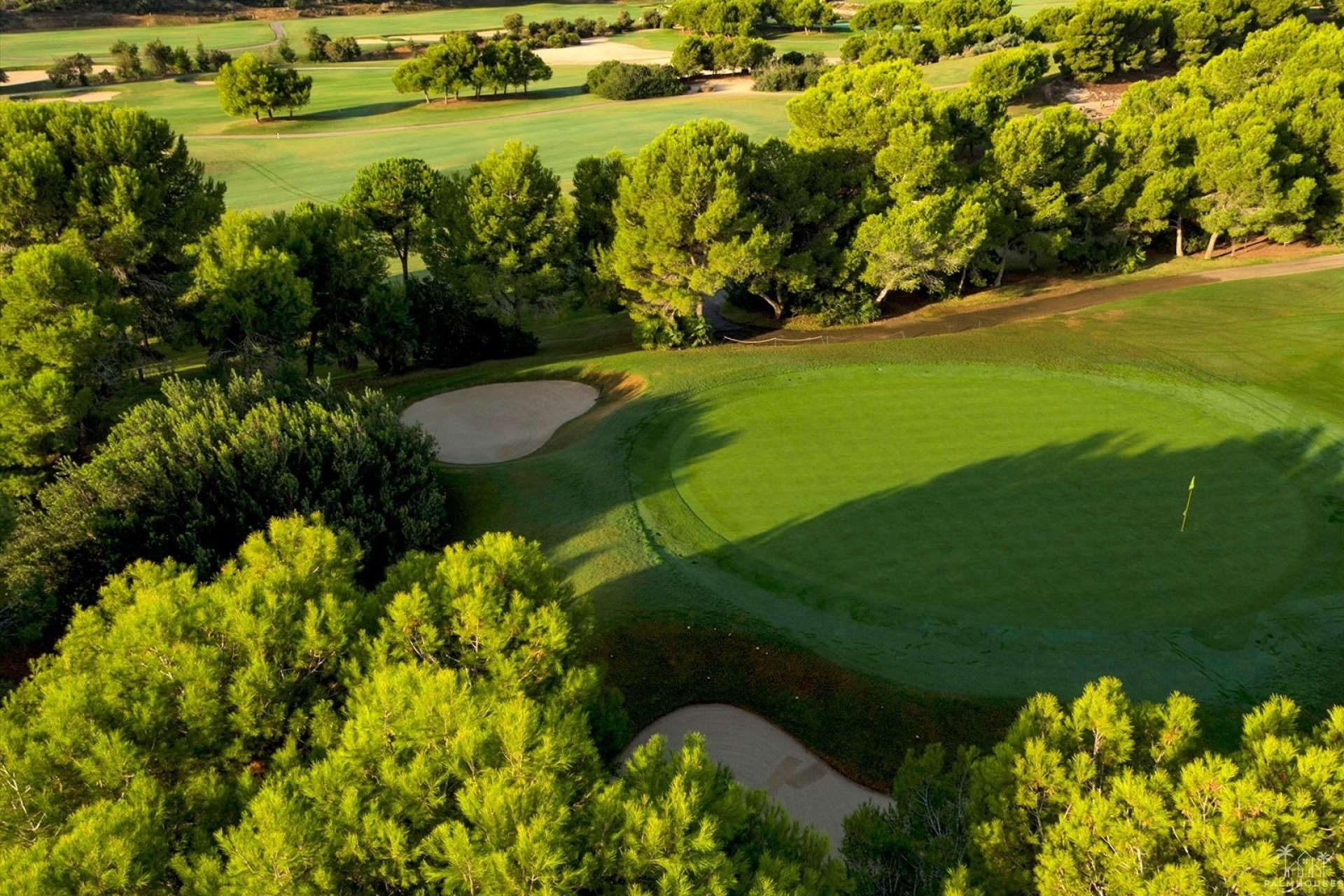Nueva construcción  - Villa - Pilar de La Horadada - Lo Romero Golf