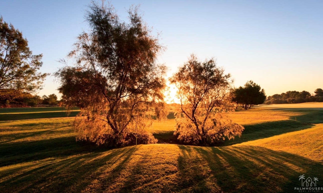 Nueva construcción  - Villa - Pilar de La Horadada - Lo Romero Golf