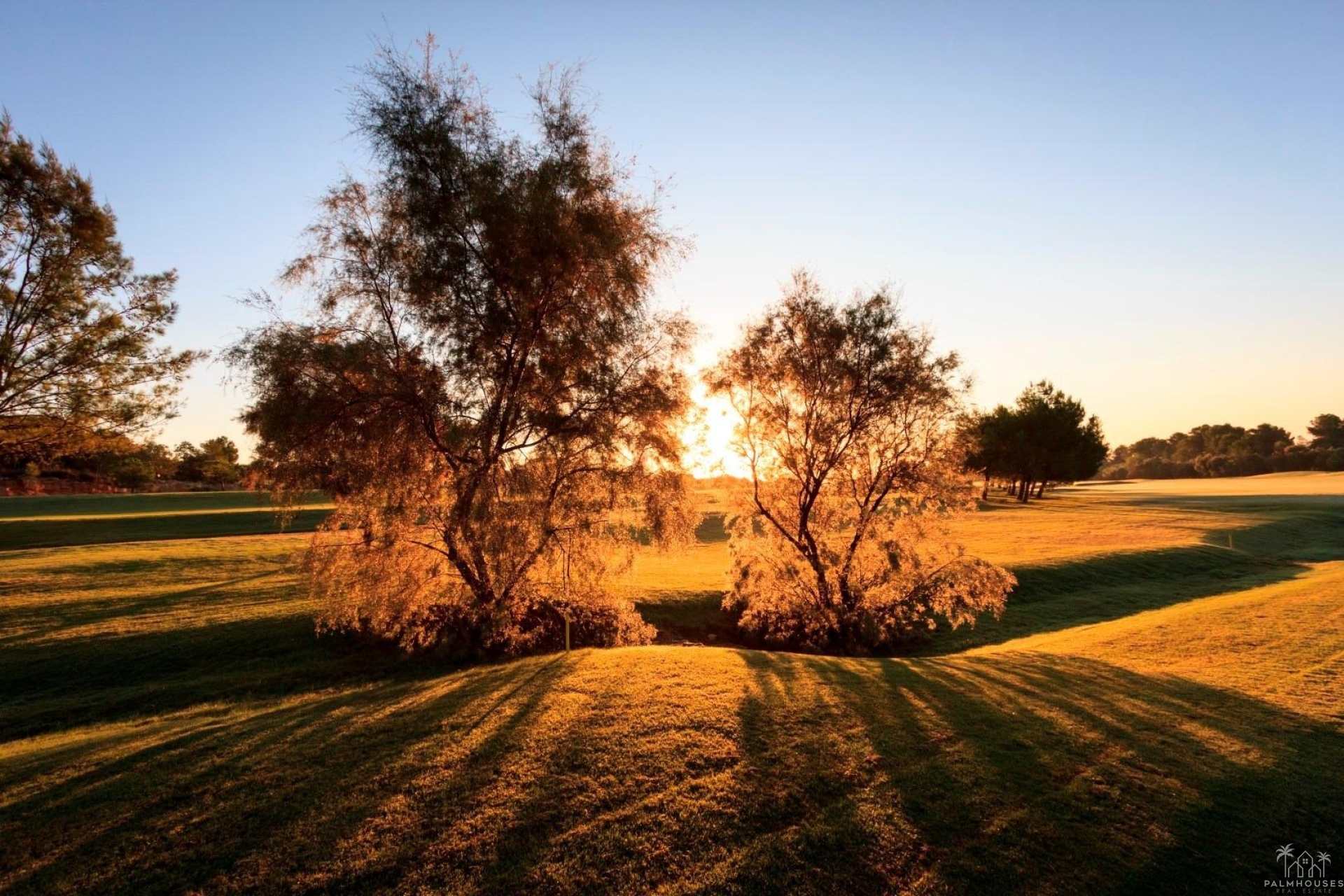 Nueva construcción  - Villa - Pilar de La Horadada - Lo Romero Golf