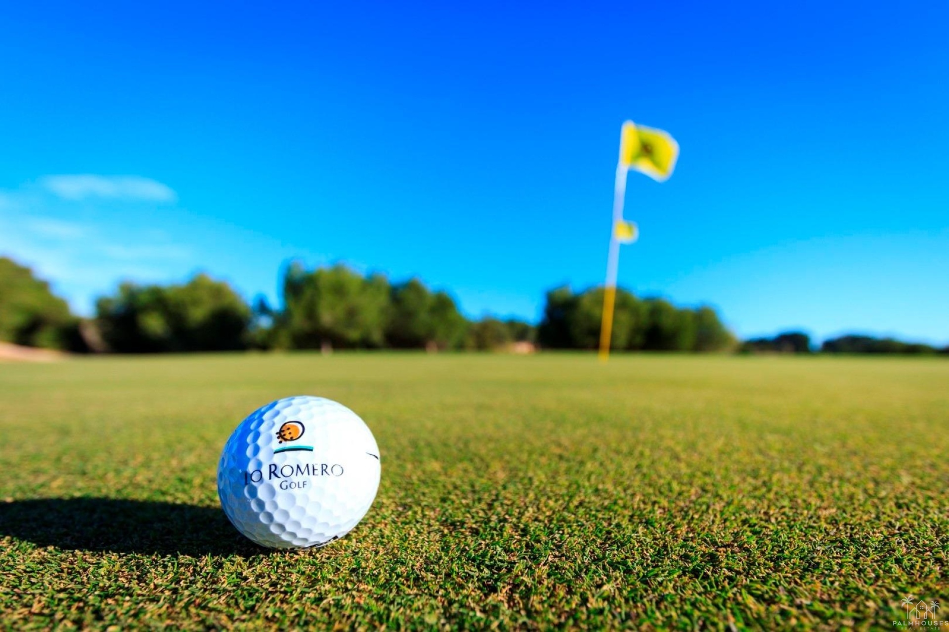 Nueva construcción  - Villa - Pilar de La Horadada - Lo Romero Golf