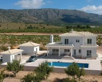 Nueva construcción  - Villa - Pinoso - Camino Del Prado