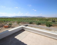 Nueva construcción  - Villa - Pinoso - Camino Del Prado