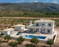 Nueva construcción  - Villa - Pinoso - Camino Del Prado