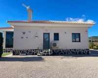 Nueva construcción  - Villa - Pinoso - Camino Del Prado