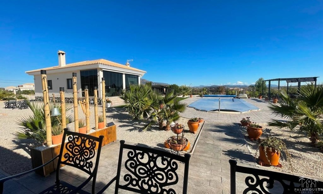 Nueva construcción  - Villa - Pinoso - Camino Del Prado