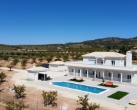 Nueva construcción  - Villa - Pinoso - Camino Del Prado