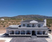 Nueva construcción  - Villa - Pinoso - Camino Del Prado