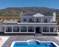 Nueva construcción  - Villa - Pinoso - Camino Del Prado