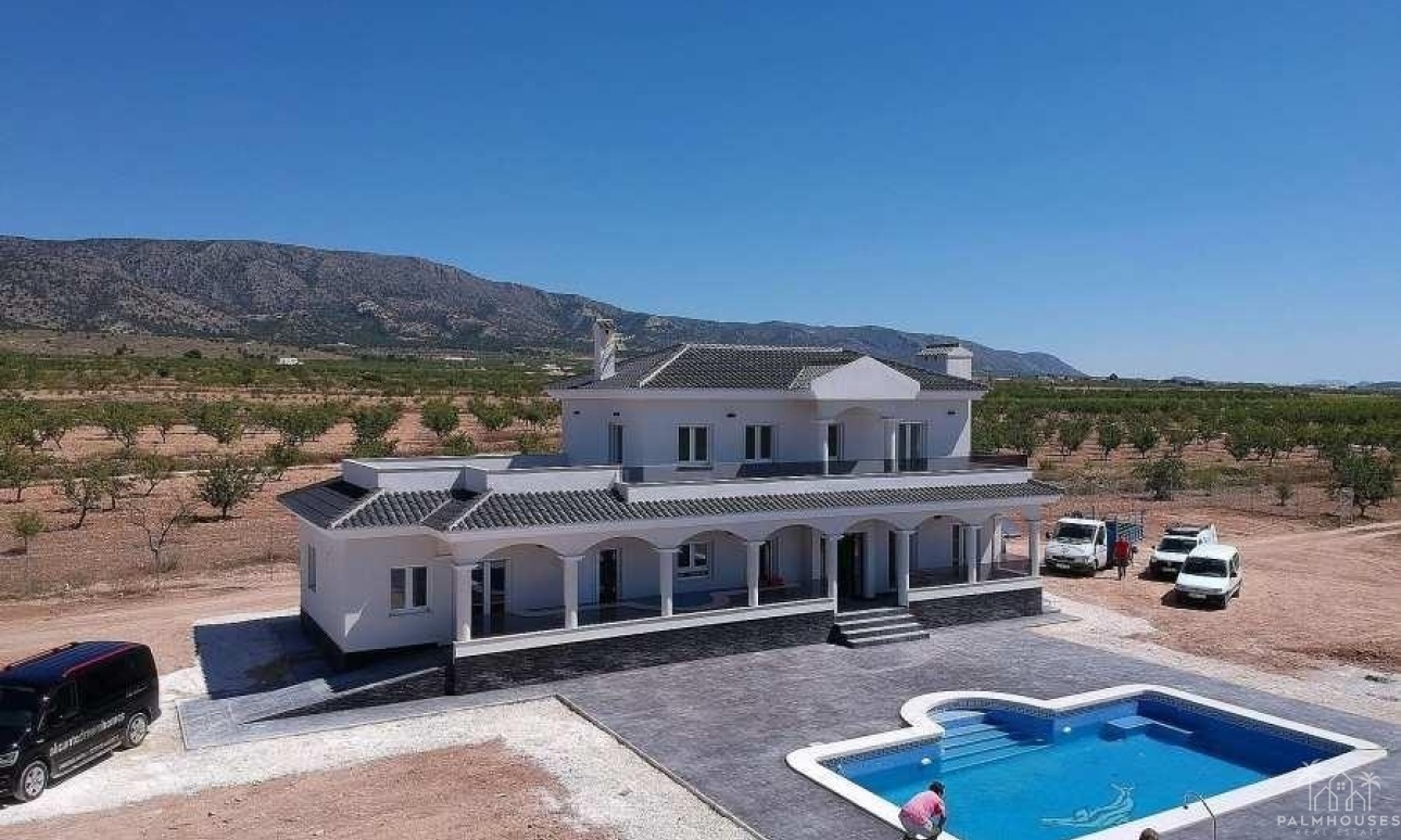 Nueva construcción  - Villa - Pinoso - Camino Del Prado