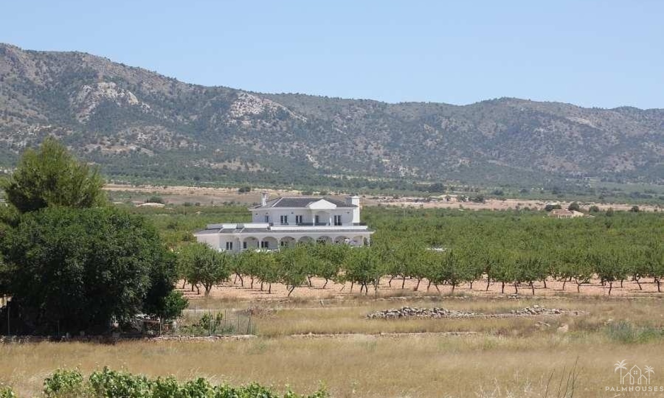 Nueva construcción  - Villa - Pinoso - Camino Del Prado