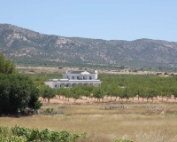 Nueva construcción  - Villa - Pinoso - Camino Del Prado