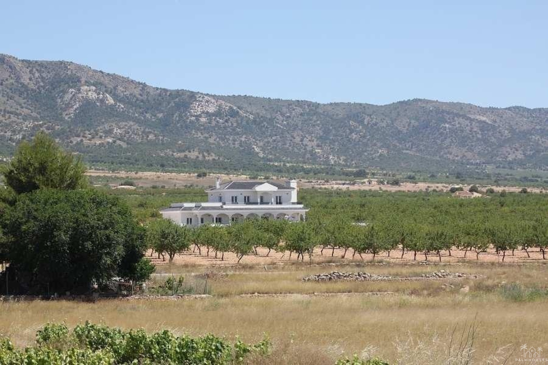 Nueva construcción  - Villa - Pinoso - Camino Del Prado