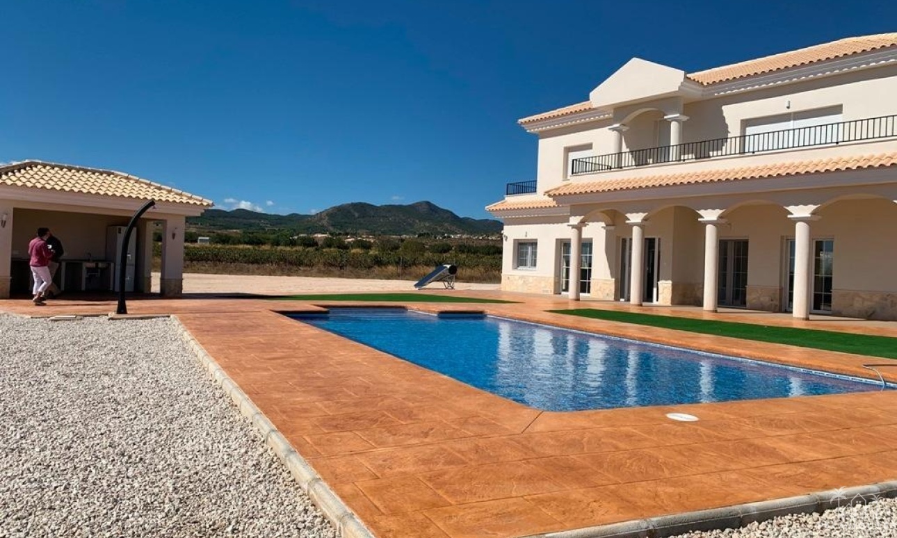 Nueva construcción  - Villa - Pinoso - Camino Del Prado