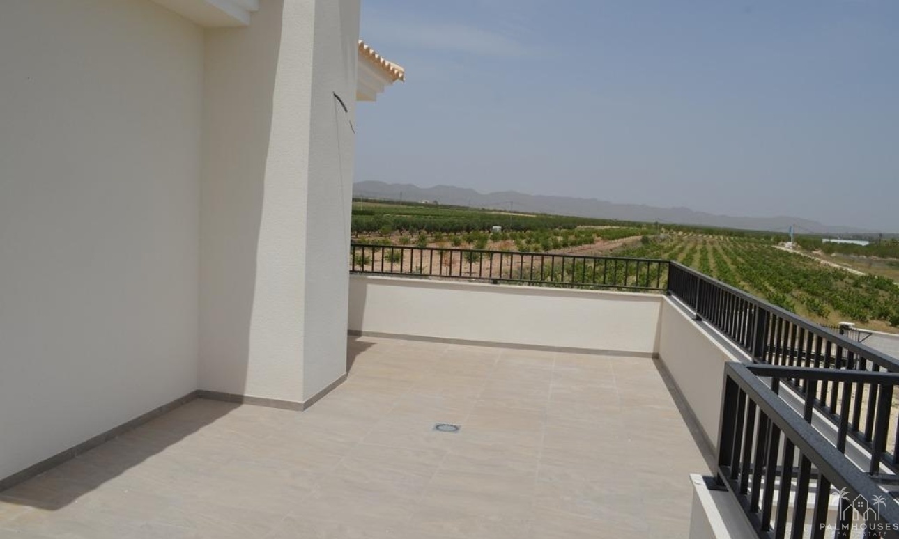 Nueva construcción  - Villa - Pinoso - Camino Del Prado