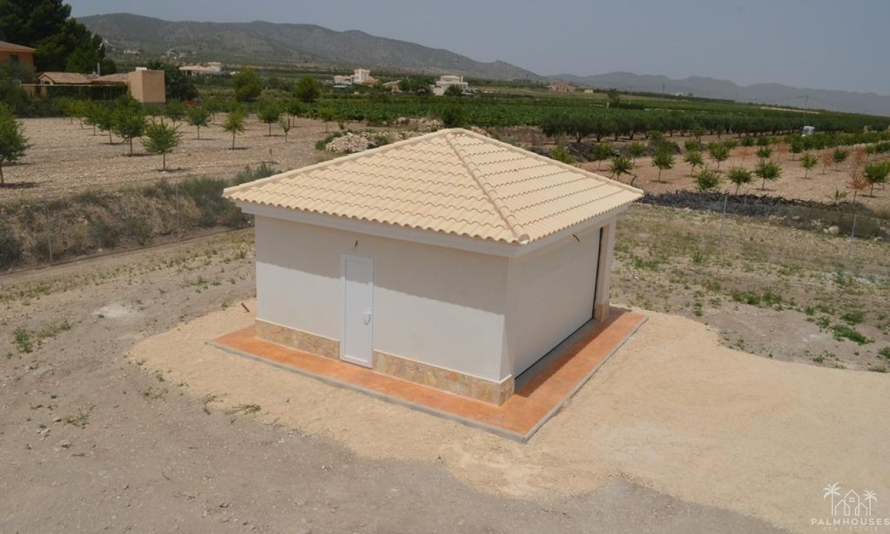 Nueva construcción  - Villa - Pinoso - Camino Del Prado