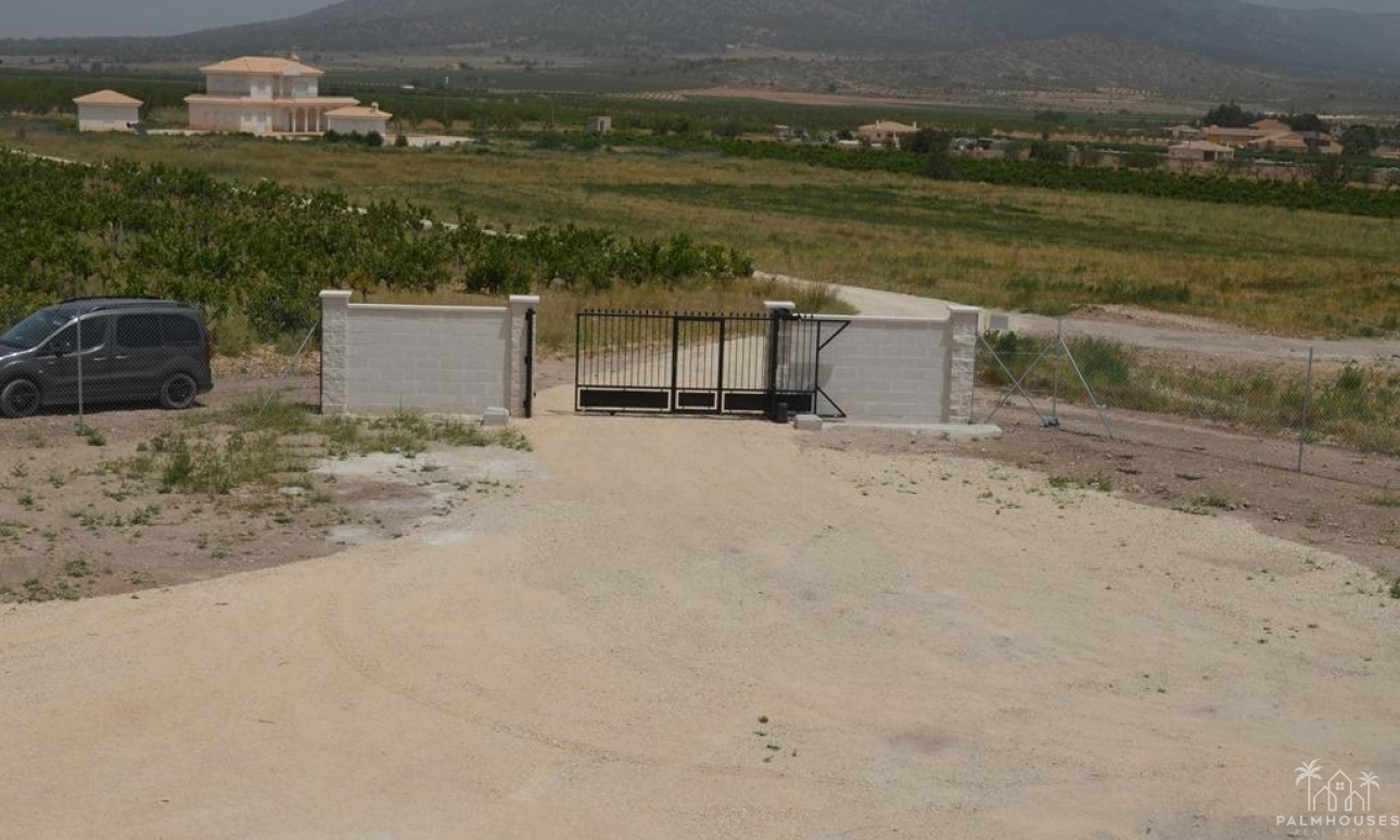 Nueva construcción  - Villa - Pinoso - Camino Del Prado